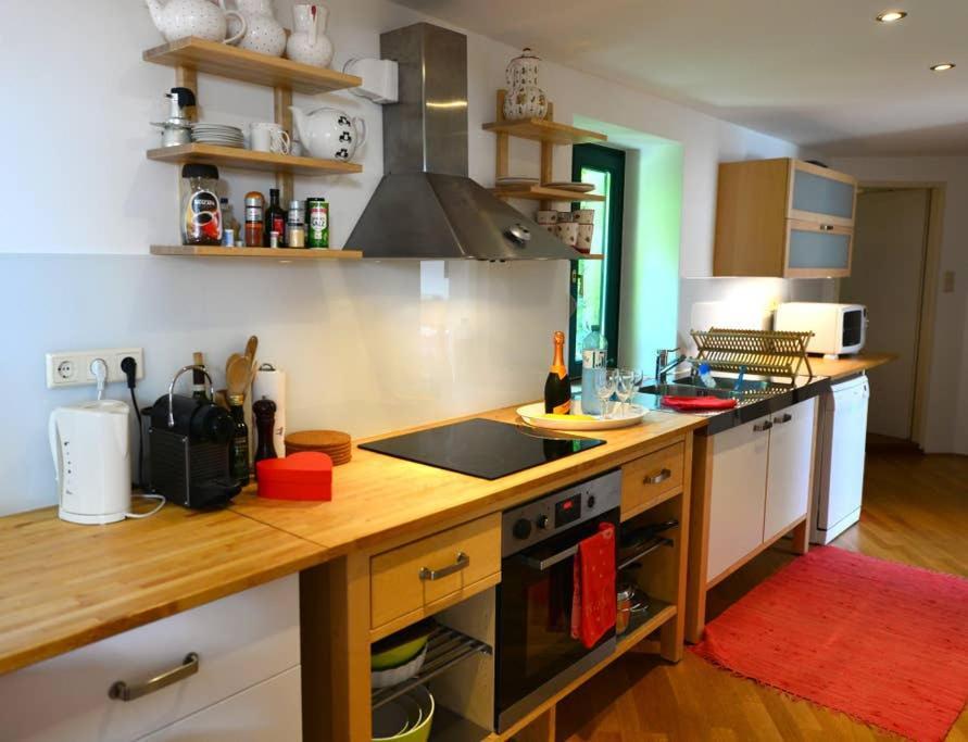 Green Haven Roofgarden Penthouse In Central Area ウィーン エクステリア 写真