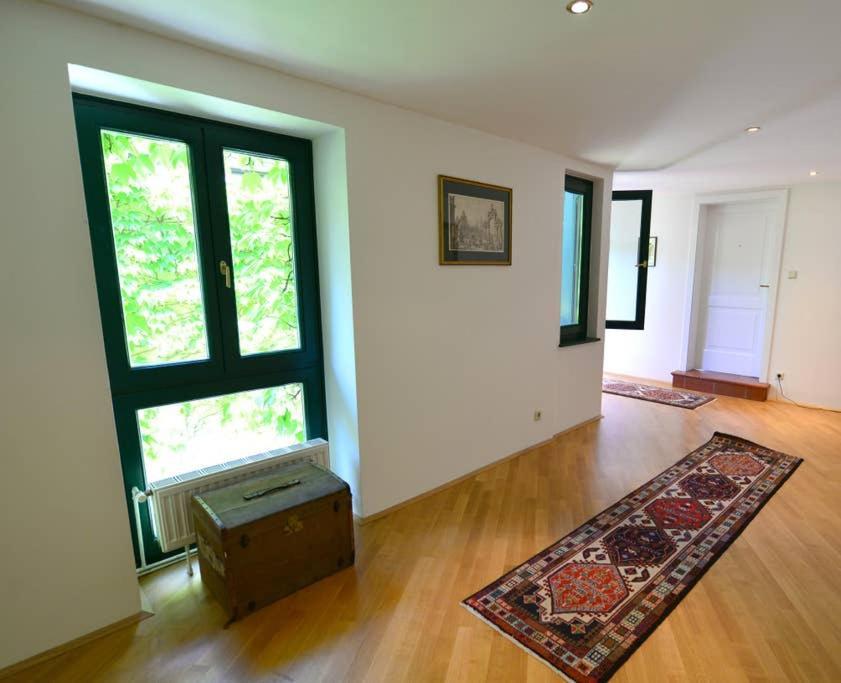 Green Haven Roofgarden Penthouse In Central Area ウィーン エクステリア 写真
