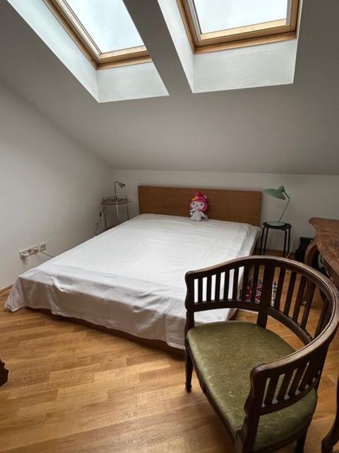 Green Haven Roofgarden Penthouse In Central Area ウィーン エクステリア 写真